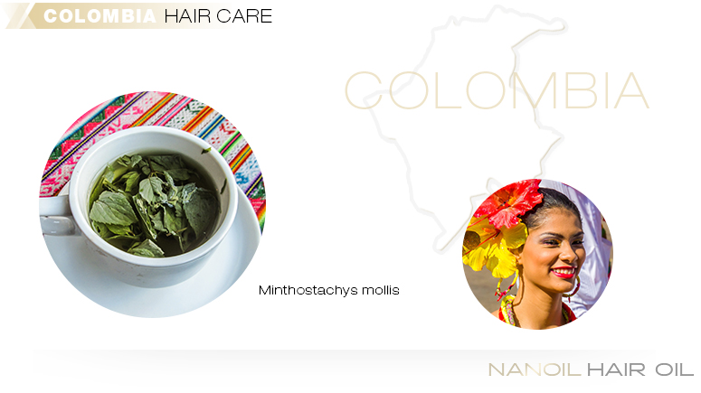 South America: Colombia – Hair Care