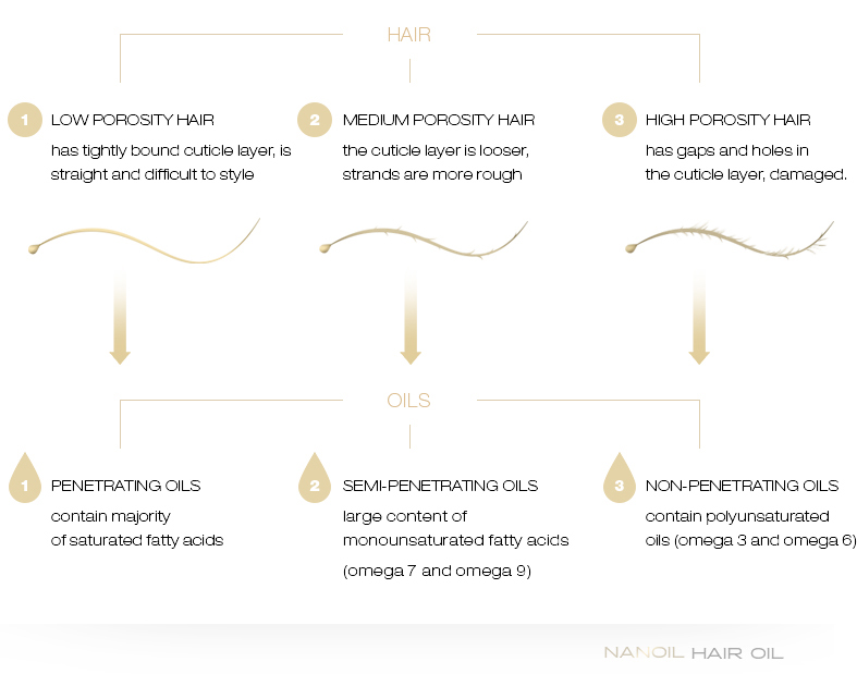 An infographic representing three types of hair and their best respective oils