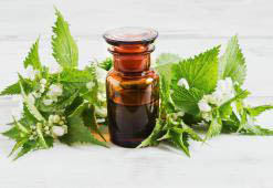 Scalp Treatments for Long & Healthy Hair - The Best Homemade Cosmetics