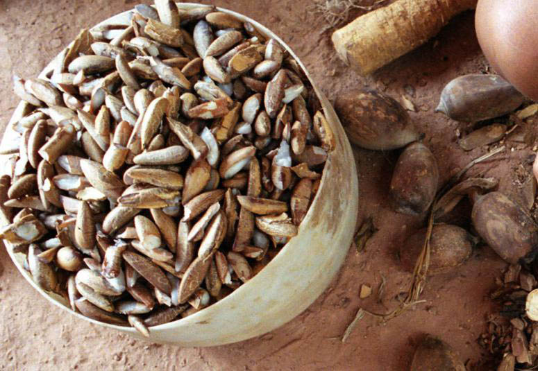 Babassu Oil - highest-quality care for low porosity hair