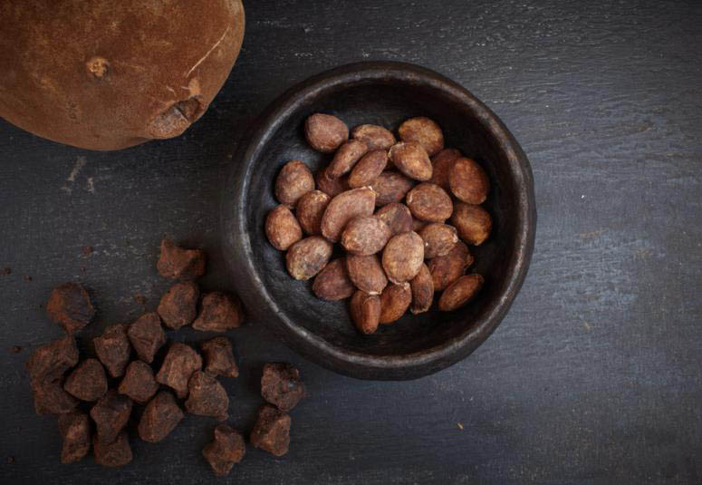 Amazonian cupuaçu butter – balance of fatty acids for perfect hydration