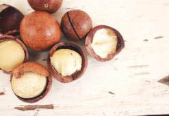 Macadamia Oil for Healthy Hair & Skin – Natural Free Radicals Buster