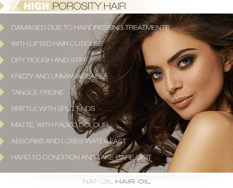 Infographic for High Porosity hair listing the following: damaged due to hairdressing treatments; dry, rough and stiff; frizzy and unmanageable